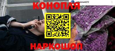 твердый Гусев