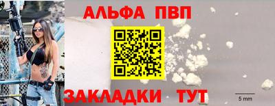 твердый Гусев