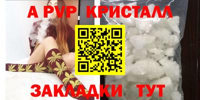 твердый Гусев